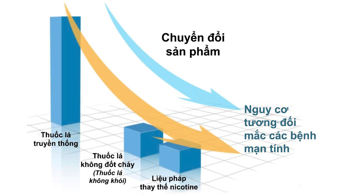 Dù không phải là sản phẩm hỗ trợ cai thuốc, thuốc lá không khói được xác nhận có tiềm năng giảm tác hại với khói thuốc. Ảnh: FDA.