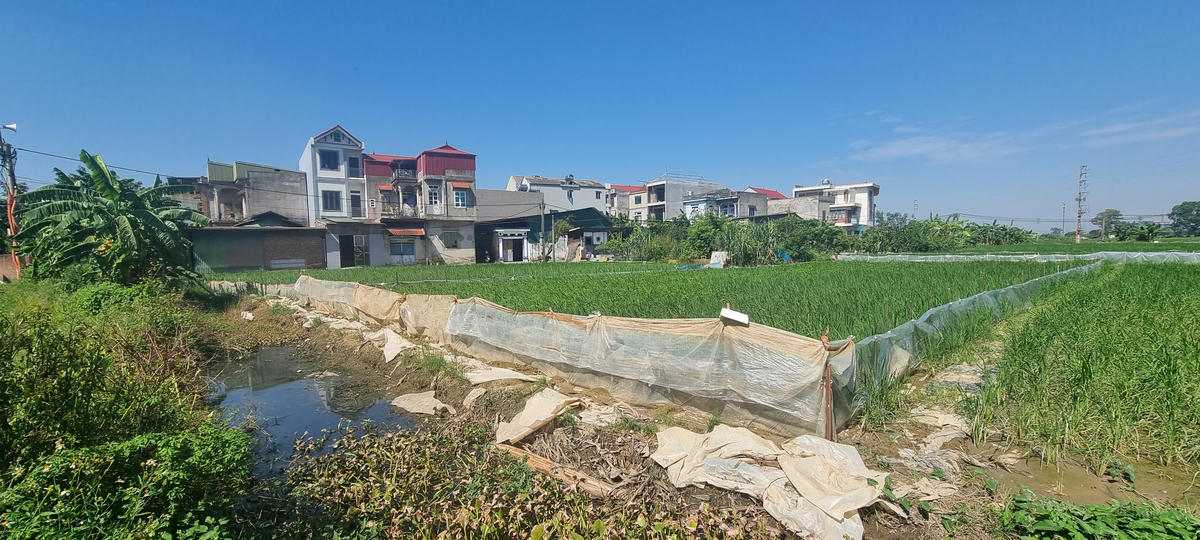 Rác thải nhựa, nilon được dùng trong sản xuất nông nghiệp. Ảnh: Minh Quân.