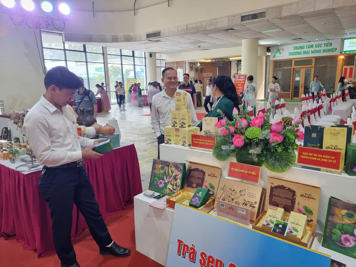 Cùng với việc nâng cao chất lượng sản phẩm, Hà Nội đang hoàn thiện hệ sinh thái hỗ trợ OCOP từ vùng nguyên liệu, quy trình sản xuất đến xúc tiến thương mại. Ảnh: XC