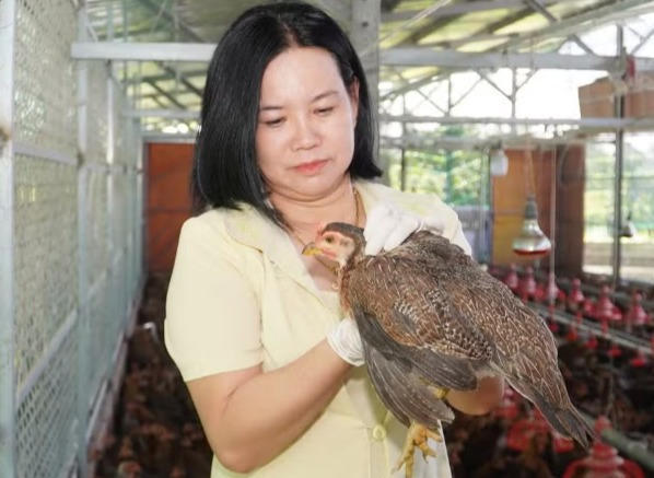 Nâng tầm nông nghiệp sinh thái: Khi rơm rạ, lá dứa… trở thành tiền