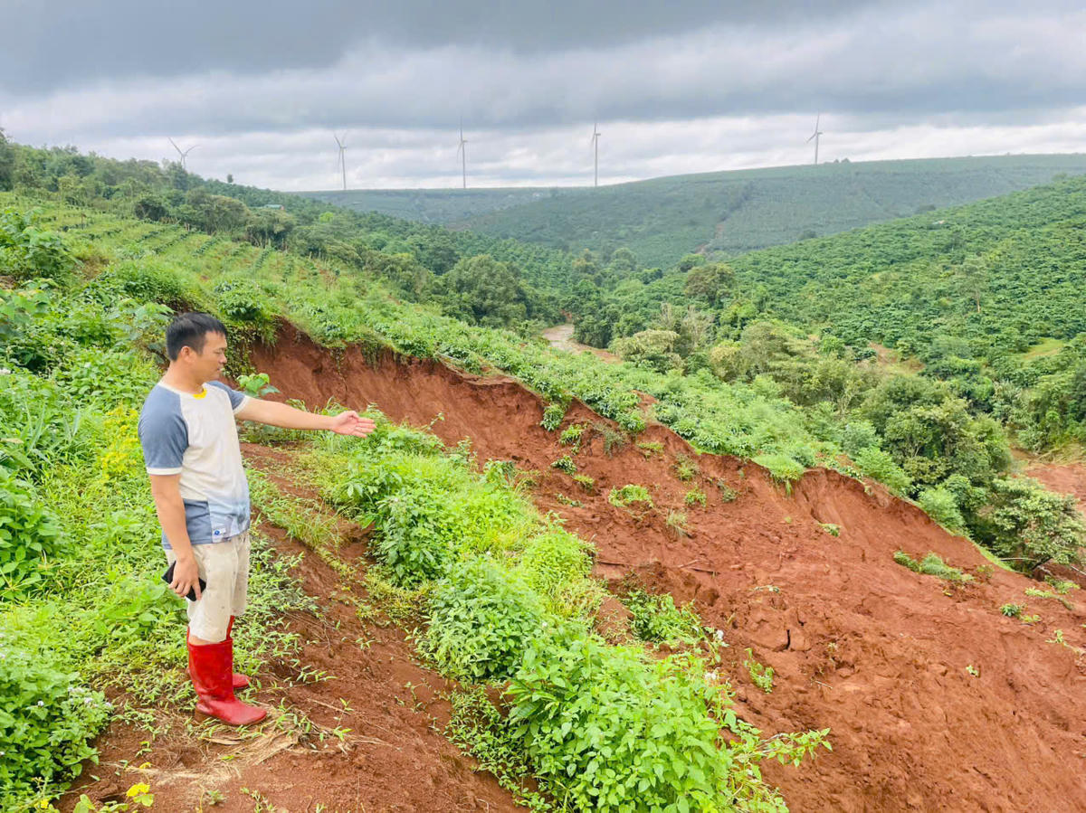 Tại các khu vực sạt lở xuất hiện nhiều vết nứt, tiếp tục có nguy cơ bị ảnh hưởng nếu mưa lớn xảy ra. Ảnh: PH.