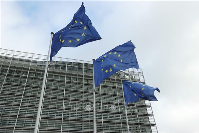 EU trước sức ép bảo vệ trẻ em trên mạng xã hội