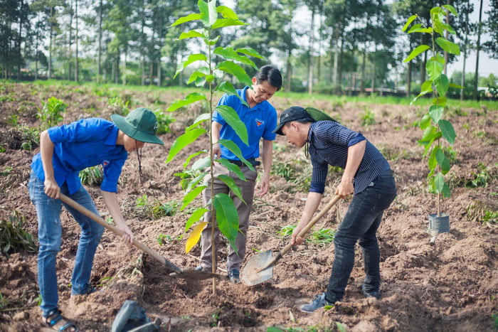 Nhiều phường, xã trên địa bàn TP Đồng Nai trồng cây xanh để BVMT. Ảnh: L.C