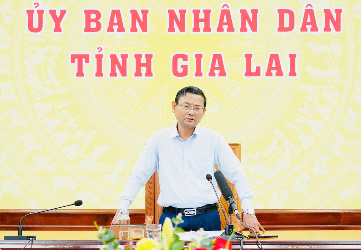 Phó Chủ tịch UBND tỉnh Gia Lai Nguyễn Tự Công Hoàng phát biểu kết luận cuộc họp. Ảnh: CĐ.