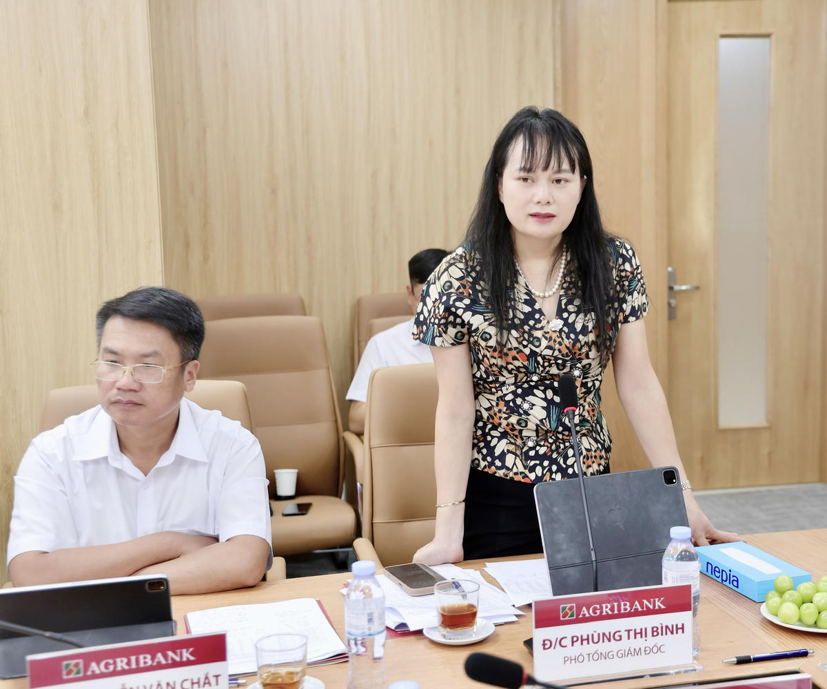 Đ/c Phùng Thị Bình, Ủy viên BTV Đảng ủy, Phó Tổng Giám đốc Agribank phát biểu tại buổi làm việc