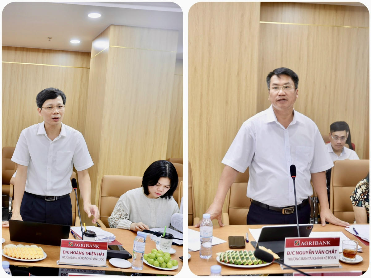 Đại diện một số Ban chuyên môn tại TSC trao đổi, thảo luận tại buổi làm việc