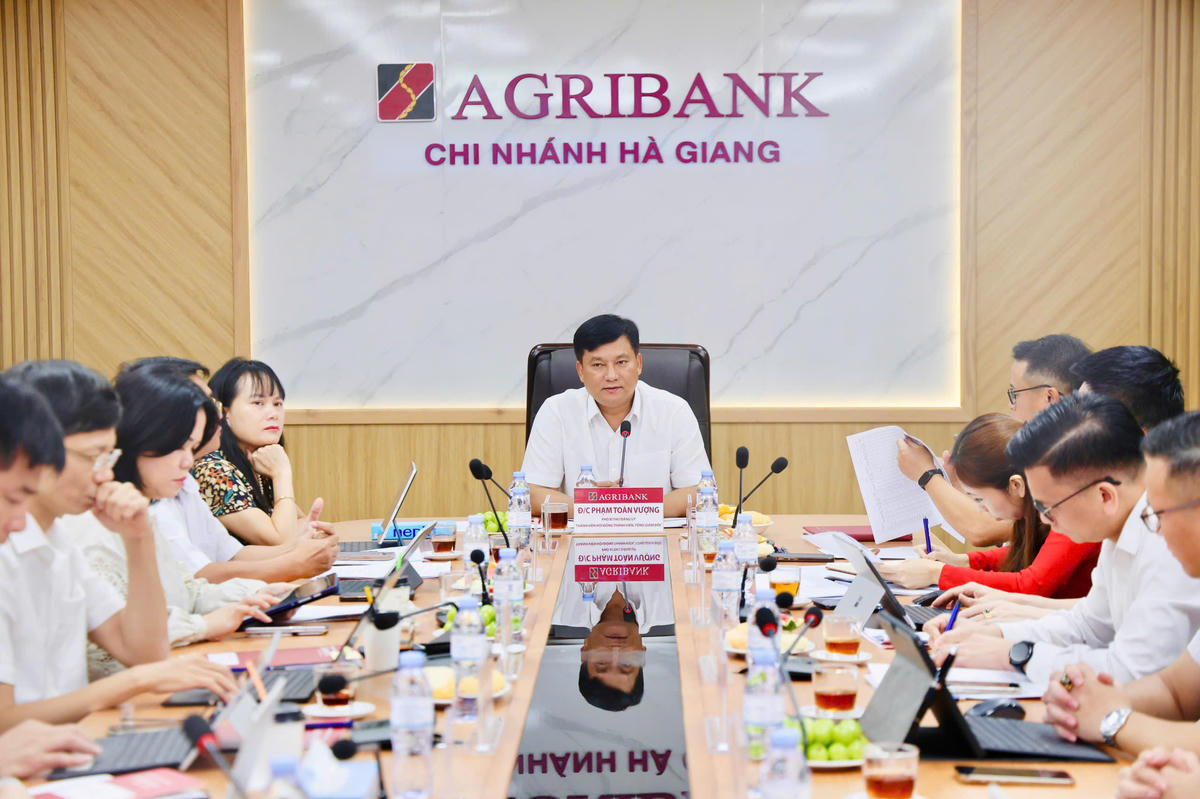 Đ/c Phạm Toàn Vượng , Phó Bí thư Đảng ủy, Thành viên HĐTV, Tổng Giám đốc Agribank phát biểu tại buổi làm việc
