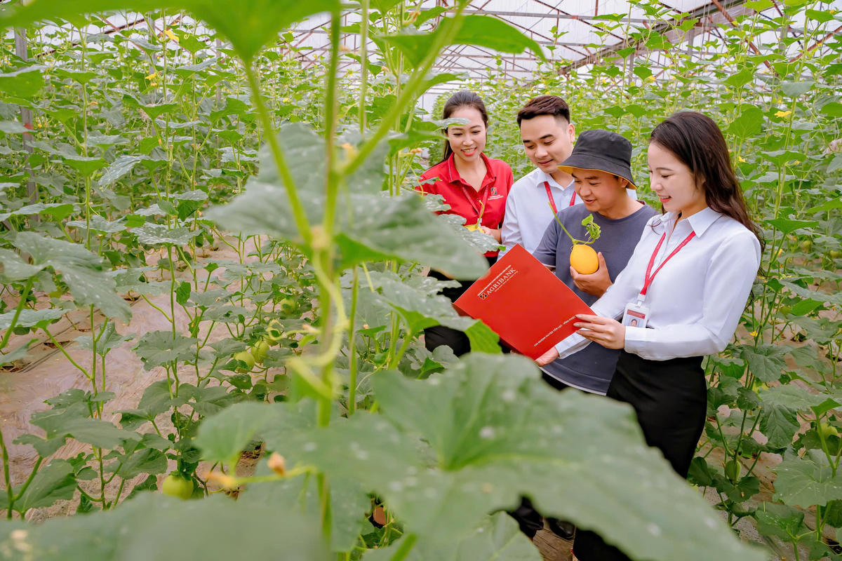 Tập trung ưu tiên khu vực nông thôn và các địa bàn còn dư địa phát triển, Agribank tiếp tục khẳng định sứ mệnh đồng hành cùng “tam nông” và thúc đẩy tăng trưởng nền kinh tế theo hướng hiện đại, bền vững