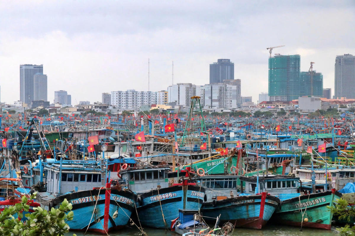 Tàu cá đang neo đậu tại cảng cá Thọ Quang, TP Đà Nẵng. Ảnh: TT.