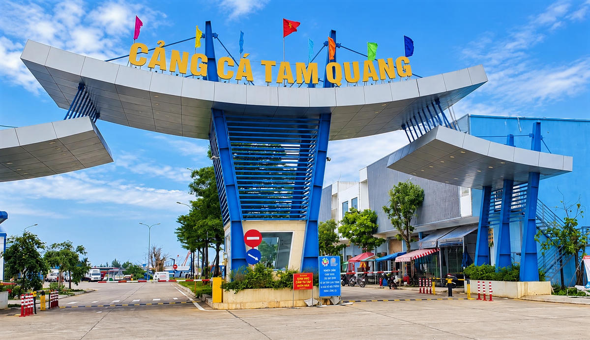 Một góc cảng cá Tam Quang. Ảnh: TT.