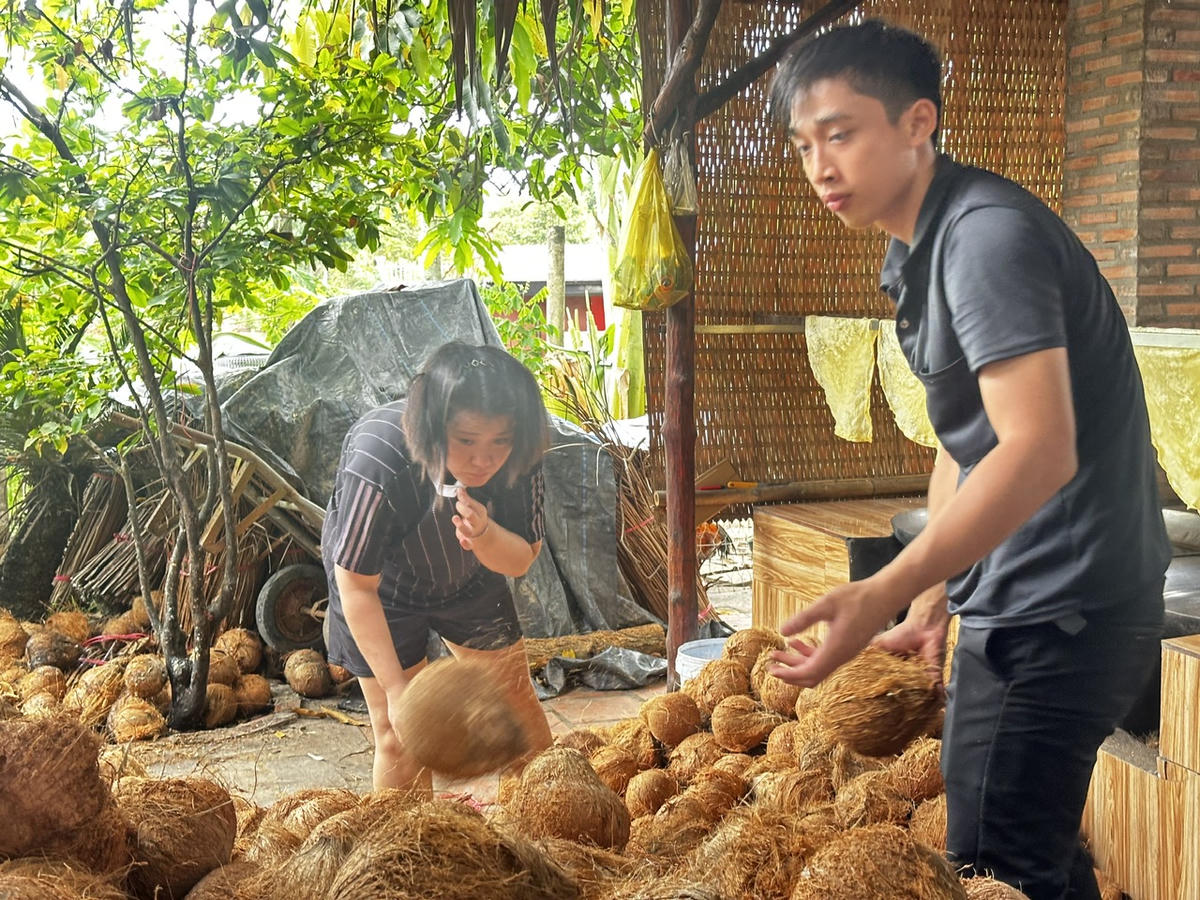 Du khách trải nghiệm công đoạn chọn, tách vỏ dừa khô để chuẩn bị nguyên liệu chế biến kẹo dừa. (Ảnh: Thanh Lâm).