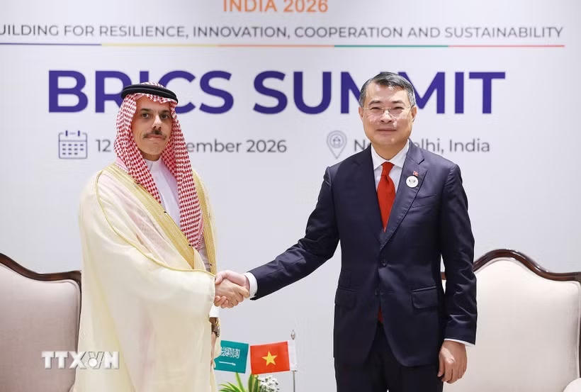 Thủ tướng Chính phủ Lê Minh Hưng tiếp Bộ trưởng Ngoại giao Saudi Arabia Faisal bin Farhan Al Saud. (Ảnh: Dương Giang/TTXVN).