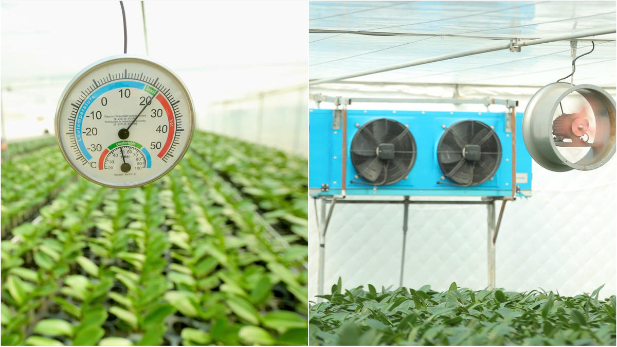 Hợp tác xã bắt nhịp với công nghệ, chuyển đổi số