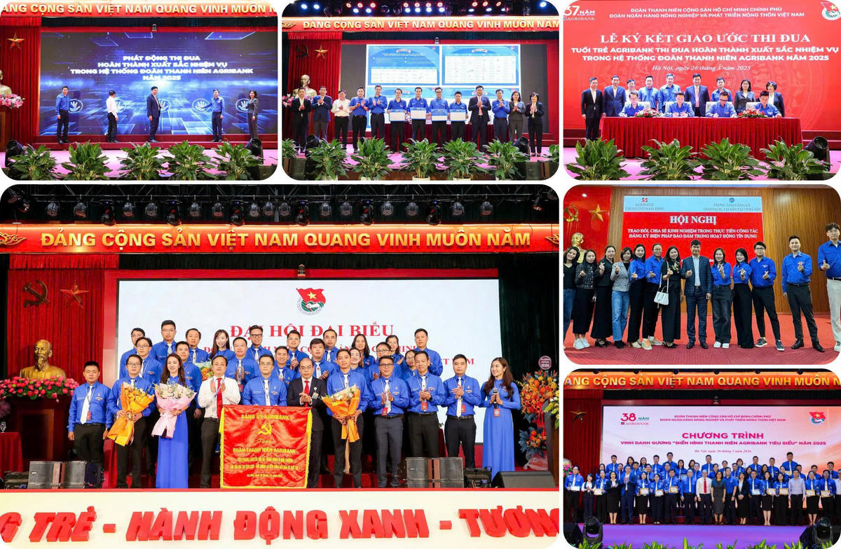 Tuổi trẻ Agribank góp phần lan tỏa các giá trị phát triển bền vững thông qua hoạt động chuyên môn và công tác Đoàn