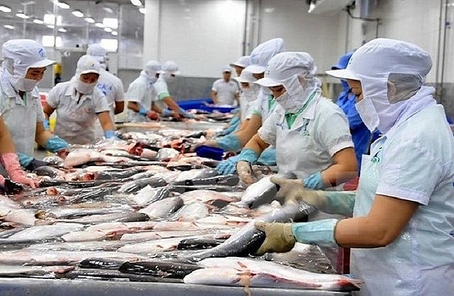 Theo VASEP, mục tiêu xuất khẩu thủy sản vượt 12 tỷ USD trong năm 2026 vẫn khả thi. Ảnh: Chu Khôi.