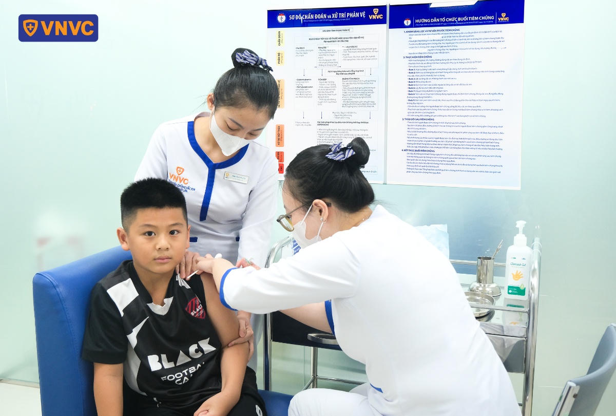 Chủ động tiêm phòng dại ngay sau khi bị chó, mèo cắn