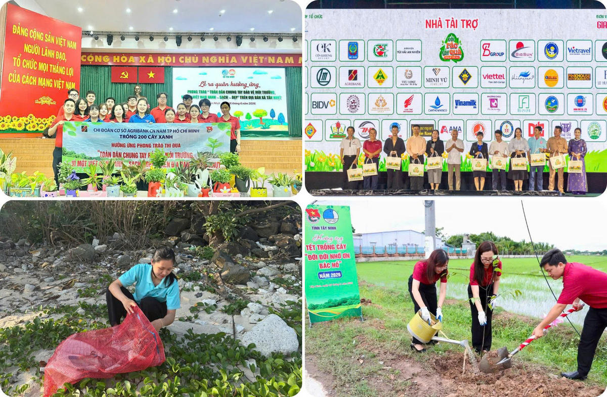 Những công trình, phần việc thanh niên được triển khai từ miền núi đến hải đảo, gắn với nhu cầu thực tiễn của cộng đồng