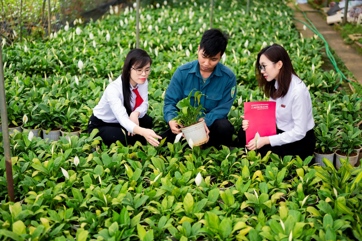 Agribank kiên định sứ mệnh phục vụ "Tam nông" trong hành trình phát triển