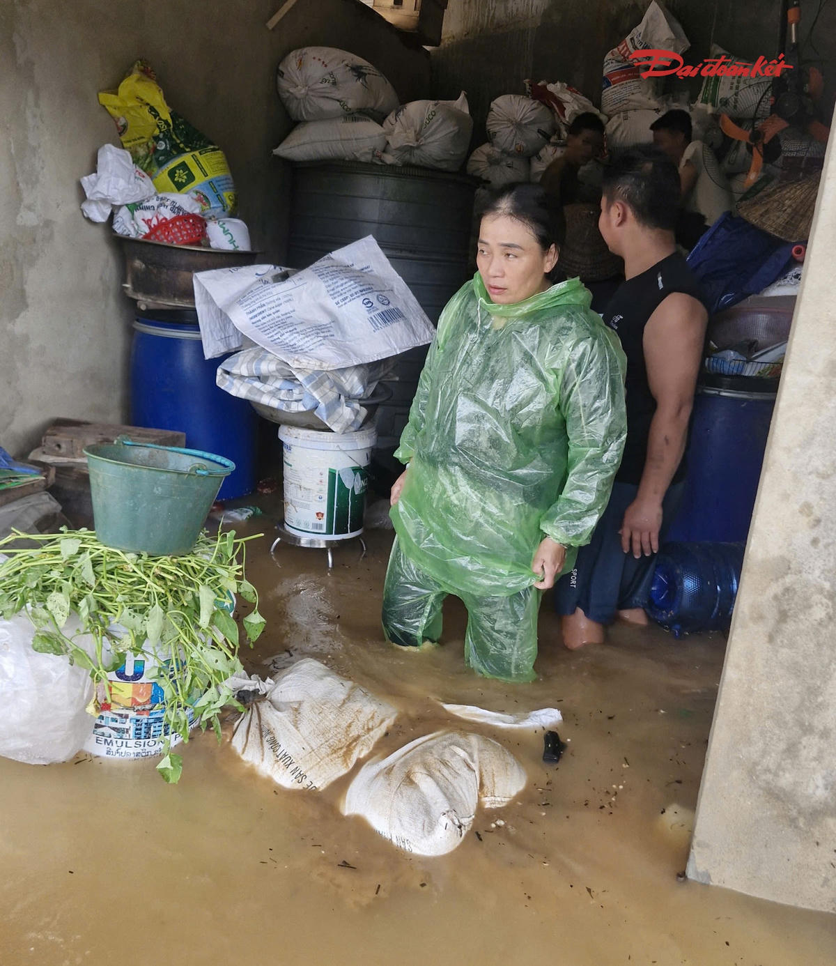 Nước lên nhanh, nhiều hộ dân tại xóm Sông Lim, xã Nghĩa Lộc phải khẩn trương kê cao đồ đạc, di chuyển tài sản khỏi khu vực thấp trũng.