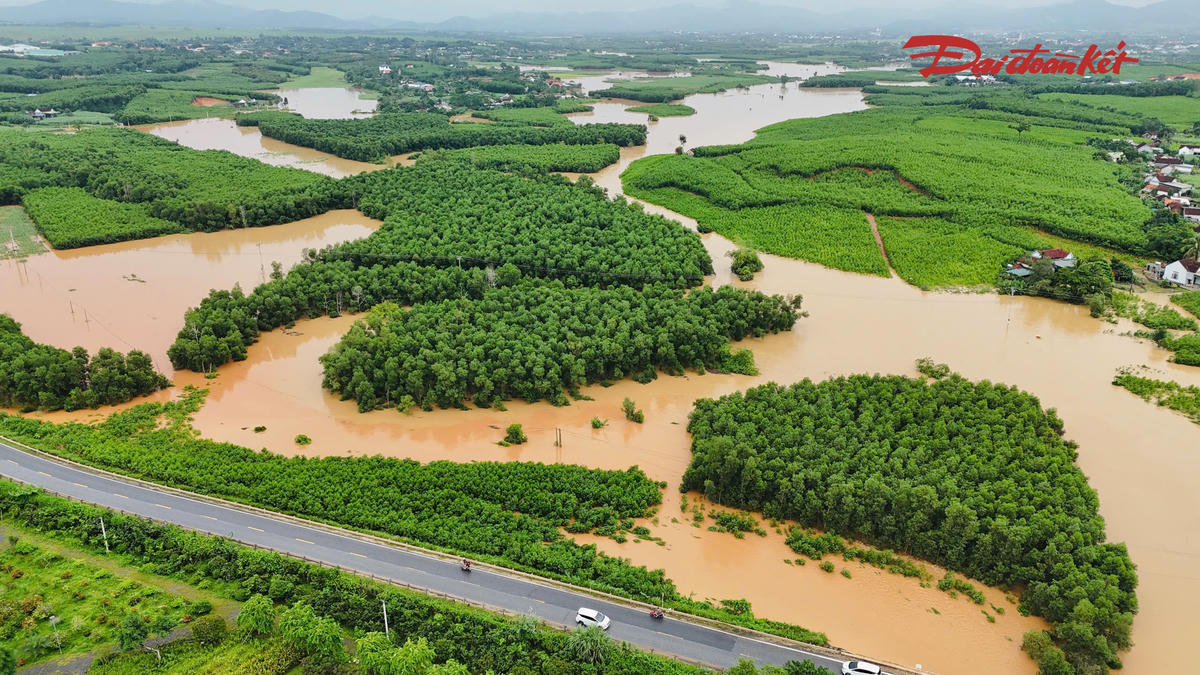 Lực lượng chức năng xã Nghĩa Lộc bám các khu vực xung yếu, hỗ trợ người dân chạy lũ. Những hộ có nguy cơ mất an toàn được rà soát để sẵn sàng di dời khi cần thiết.