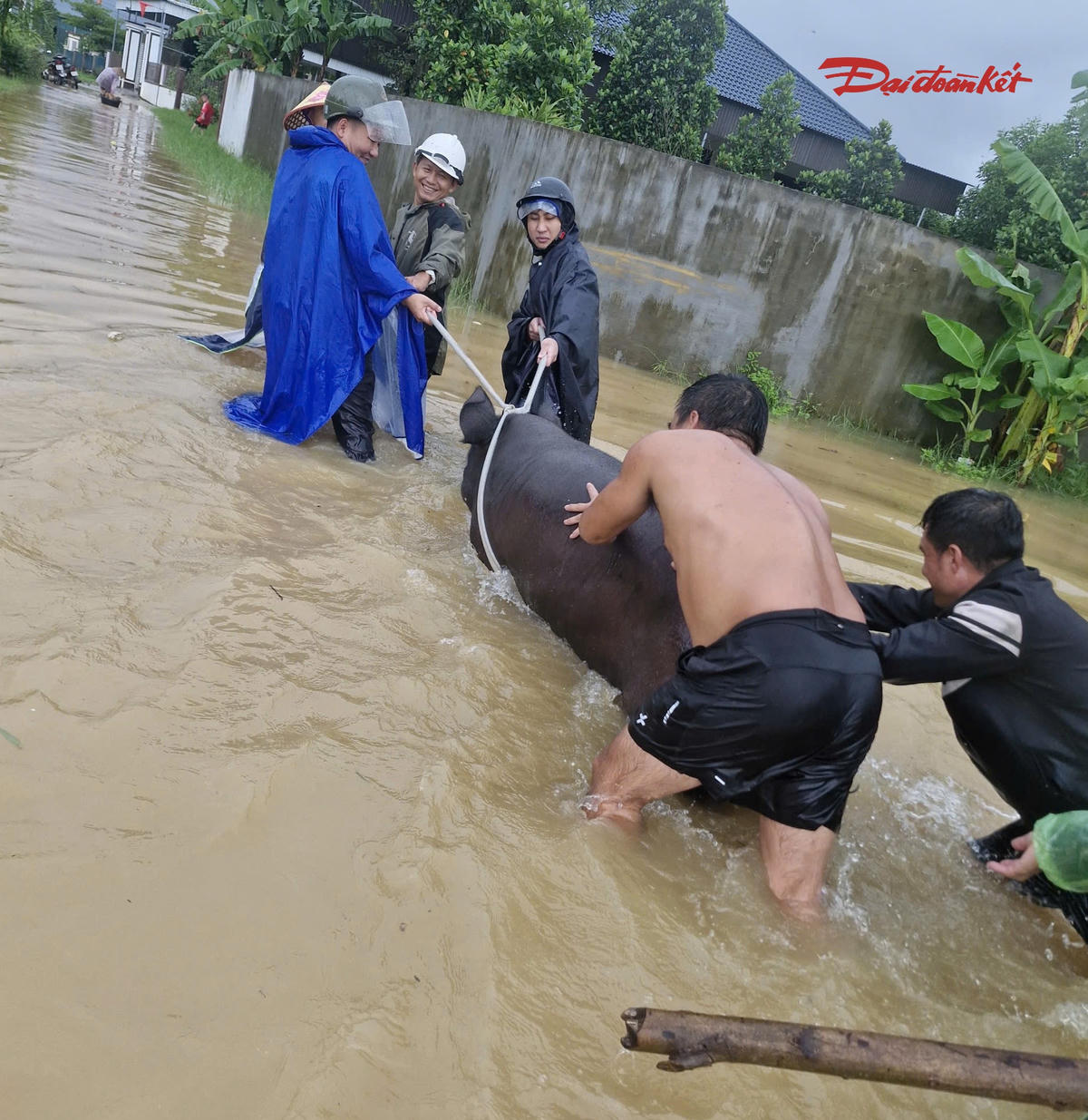 Ông Lại Văn Dương, Phó Chủ tịch UBND xã Nghĩa Lộc cho biết, mưa lớn trên diện rộng khiến nước từ các khe, suối trên địa bàn và khu vực lân cận đổ về rất nhanh. Chính quyền đã huy động lực lượng xuống các khu dân cư, ưu tiên bảo đảm an toàn cho người, đồng thời hỗ trợ các hộ di chuyển tài sản, vật nuôi khỏi những khu vực có nguy cơ ngập sâu.