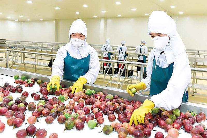 Xuất khẩu nông, lâm, thủy sản: Tăng tốc, tạo đà về đích cuối năm