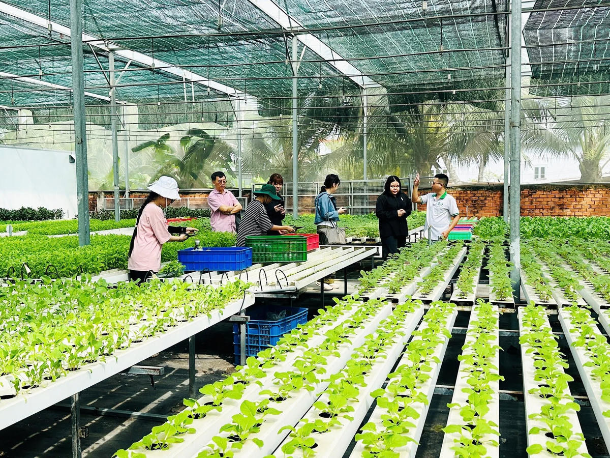 Du khách tham quan mô hình sản xuất tại HTX nông nghiệp Tuấn Ngọc (TPHCM). Ảnh: TL
