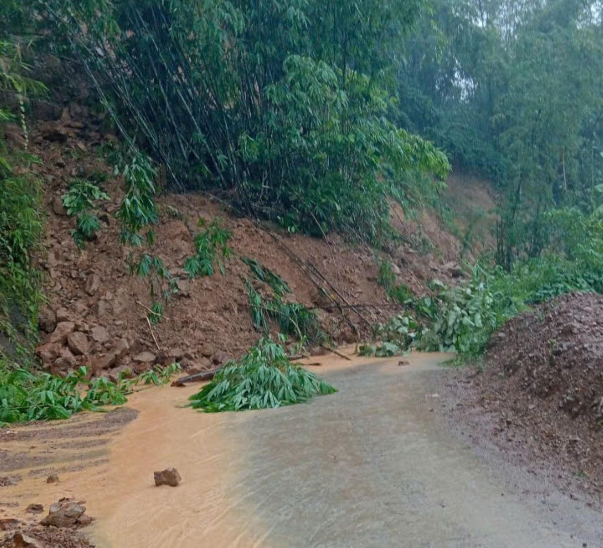 và tê liệt hoàn toàn do sạt lở.