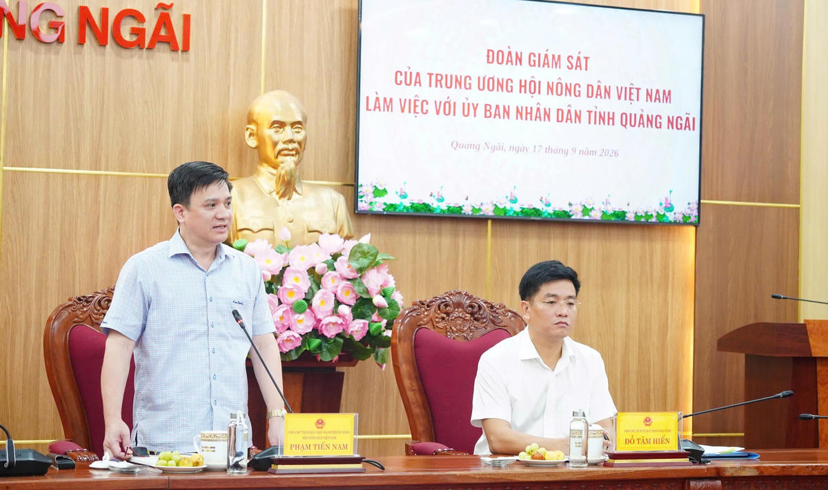Phó Chủ tịch Trung ương Hội Nông dân Việt Nam Phạm Tiến Nam phát biểu tại buổi làm việc. Ảnh: BT.