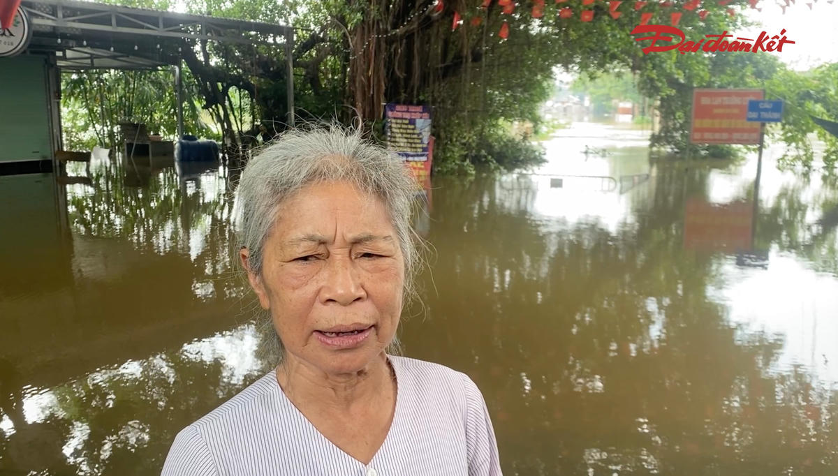Bà Lê Thị Định, thôn Tình Lam, xã Hưng Đạo, TP Hà Nội cho biết: "Cầu Đại Thành là cầu chính dân sinh, hằng ngày người dân đi lại, làm ăn, giao thương qua đây rất nhiều. Nhưng đợt mưa lũ này khiến nước sông Đáy dâng cao, tràn qua cầu nên hiện nay người dân không thể đi lại như bình thường".