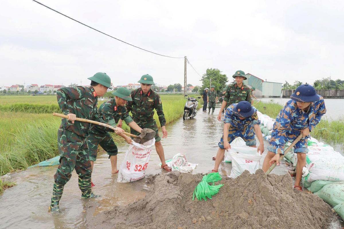 Bộ đội cùng các lực lượng xã Trần Phú chống tràn đê hữu Bùi bảo vệ sản xuất nông nghiệp, khu dân cư. Ảnh: HĐ
