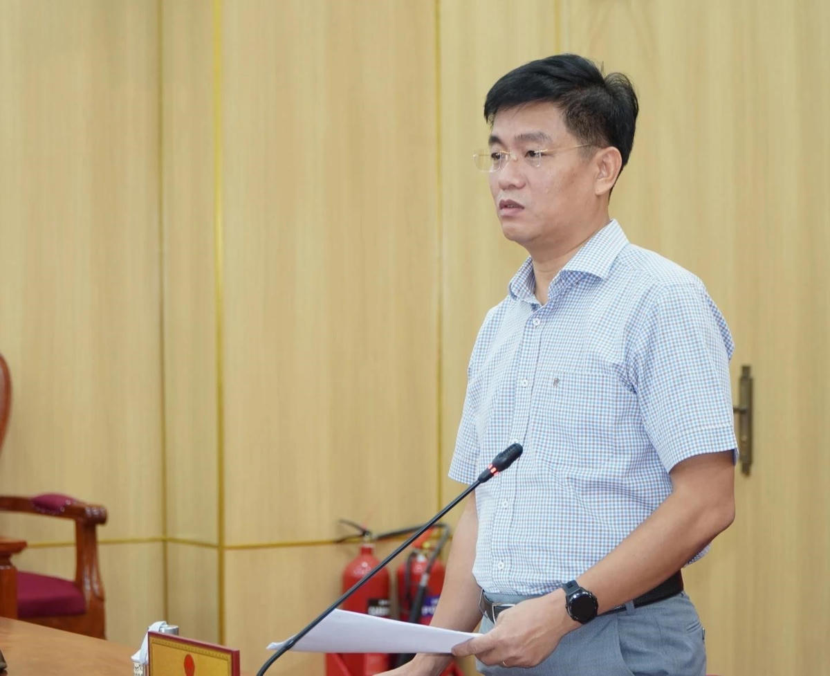Phó Chủ tịch UBND tỉnh Quảng Ngãi Đỗ Tâm Hiển phát biểu tại buổi làm việc. Ảnh: TN.