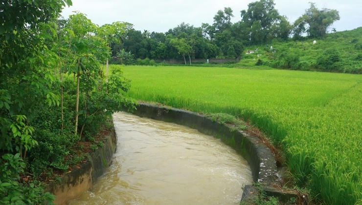 Cá nhân sản xuất nông nghiệp thuộc diện hộ nghèo, cận nghèo: hỗ trợ tối đa 95% phí bảo hiểm nông nghiệp (hiện là 90%). Ảnh: T.B