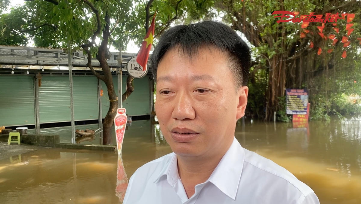 Trao đổi với phóng viên, ông Đỗ Hồng Sơn, Phó Chủ tịch UBND xã Hưng Đạo cho biết: "Cầu Đại Thành hiện tại xuống cấp rất nghiêm trọng. Trong quá trình sử dụng hằng ngày cũng đã xảy ra tình trạng ách tắc giao thông. Đặc biệt, mỗi lần có lũ về thì cây cầu không sử dụng được, ảnh hưởng rất lớn đến việc đi lại của nhân dân".