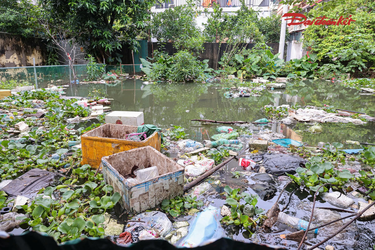 Hà Nội: 5 ngày nước chưa rút, người dân Tứ Liên bì bõm sống giữa ngõ ngập
