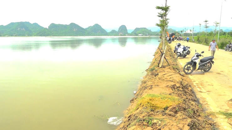 Mưa lớn, nước sông dâng cao đã ảnh hưởng khoảng 271,67ha lúa và hoa màu trên địa bàn xã. Ảnh: HS
