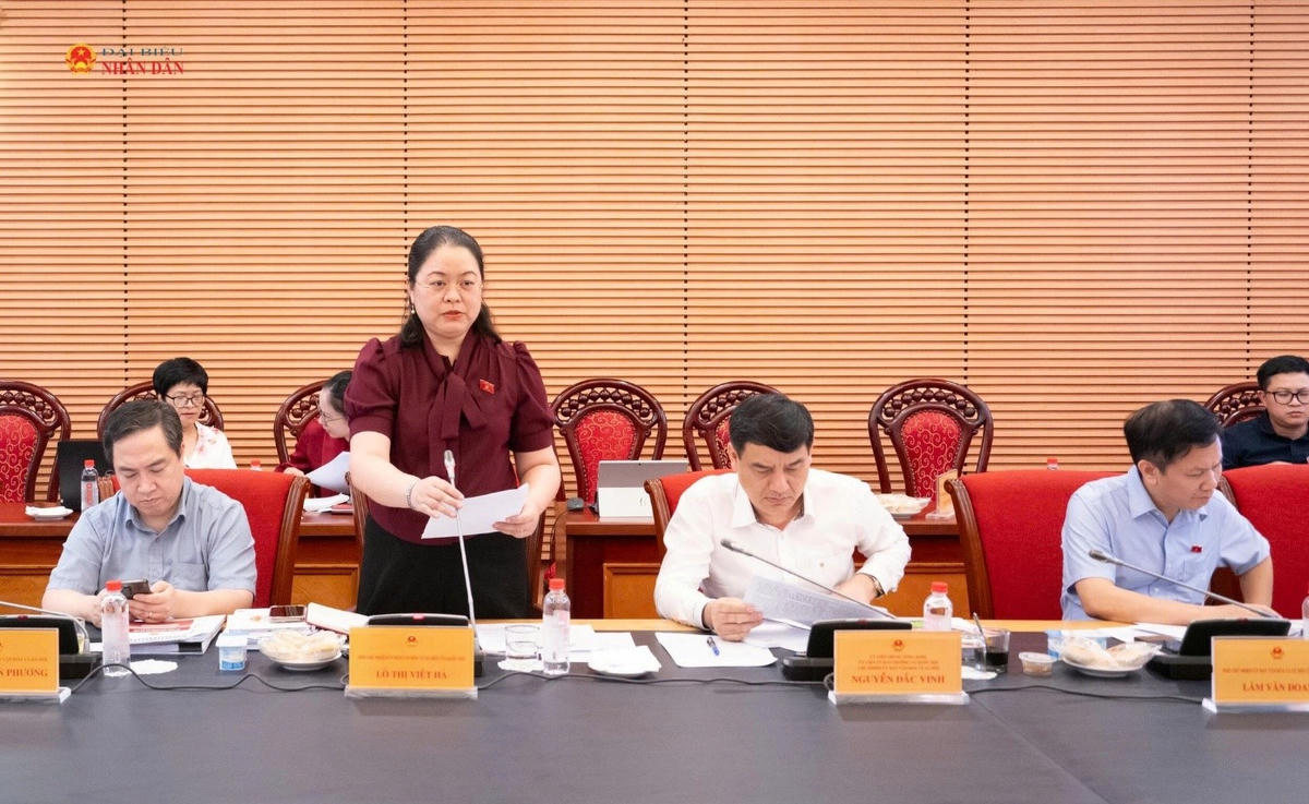 Phó Chủ nhiệm Ủy ban Văn hóa và Xã hội Lò Thị Việt Hà. (Ảnh: ĐBND)