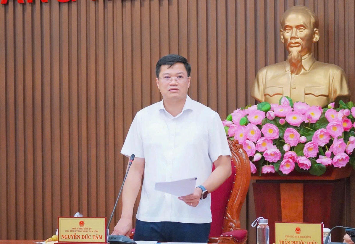 Chủ tịch UBND tỉnh Quảng Ngãi Nguyễn Đức Tâm phát biểu tại buổi làm việc. Ảnh: BT.
