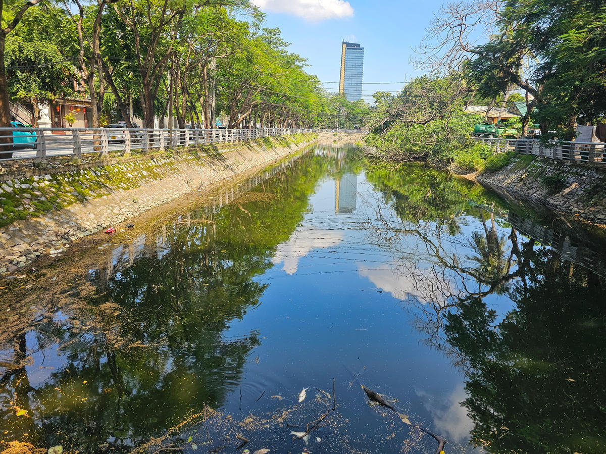 Bèo tây, rác thải... được dọn sạch giúp mặt nước tại nhiều con kênh trong nội thành phường Hạc Thành trở nên trong xanh, sạch hơn. Ảnh: Đình Minh