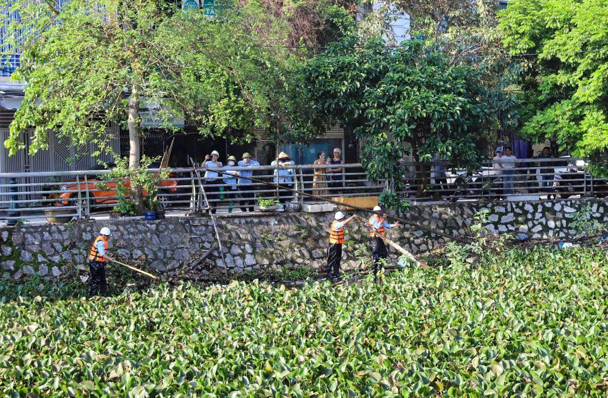 Dọn vệ sinh, khơi thông dòng chảy tại khu vực Hồ Thành 1, phường Hạc Thành. Ảnh: Đình Minh