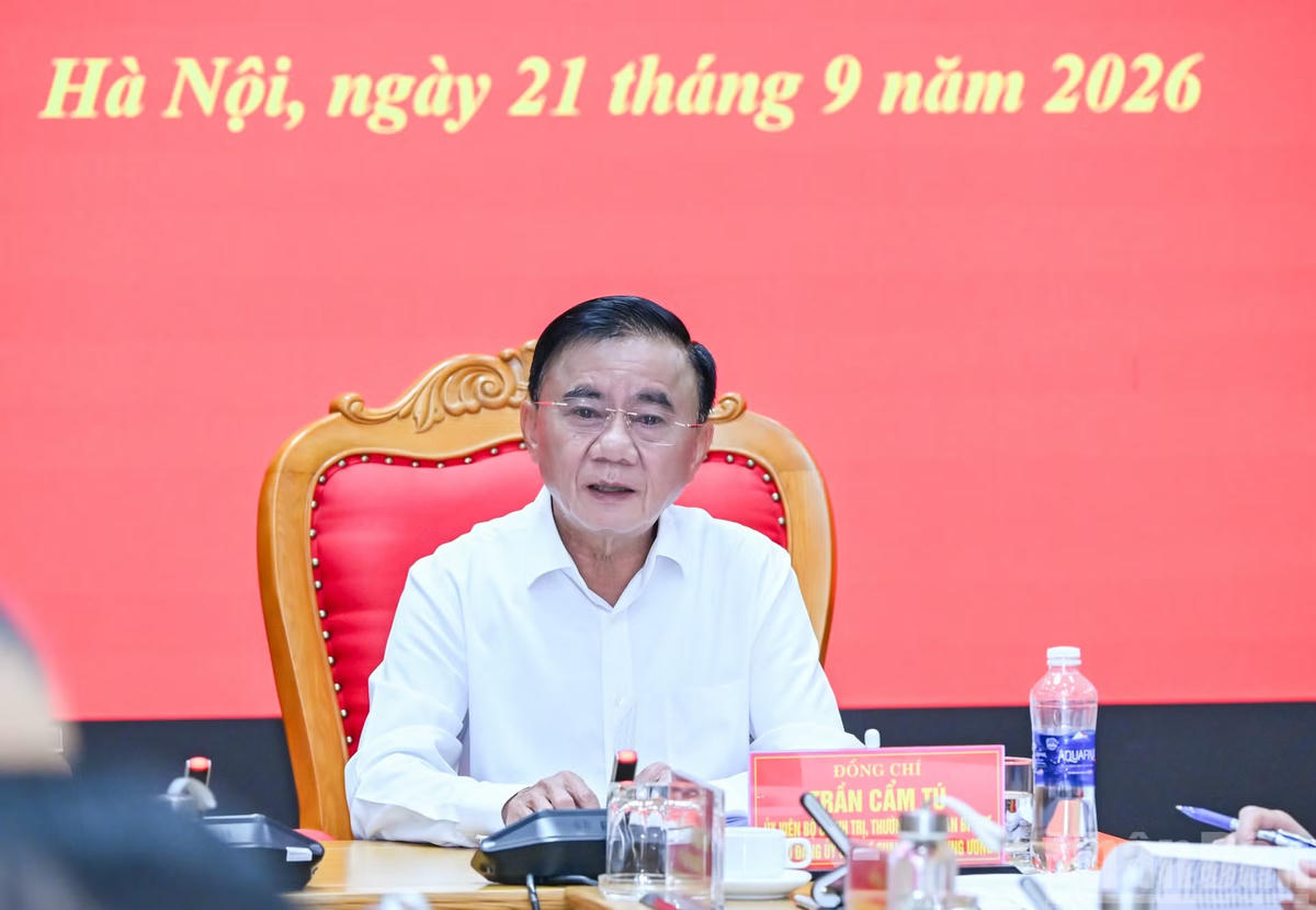 ndo_br_bnd-0865.jpg