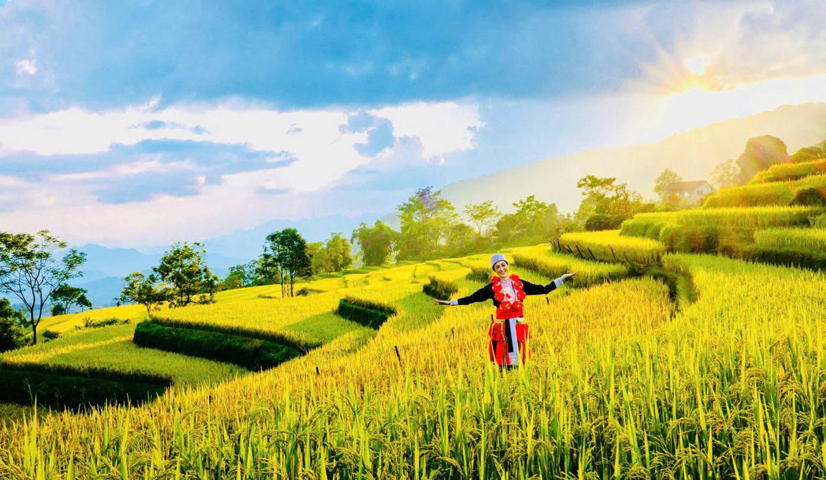 Mùa vàng Hồng Thái, xã Na Hang làm nao lòng, hút hồn du khách mỗi mùa lúa chín.