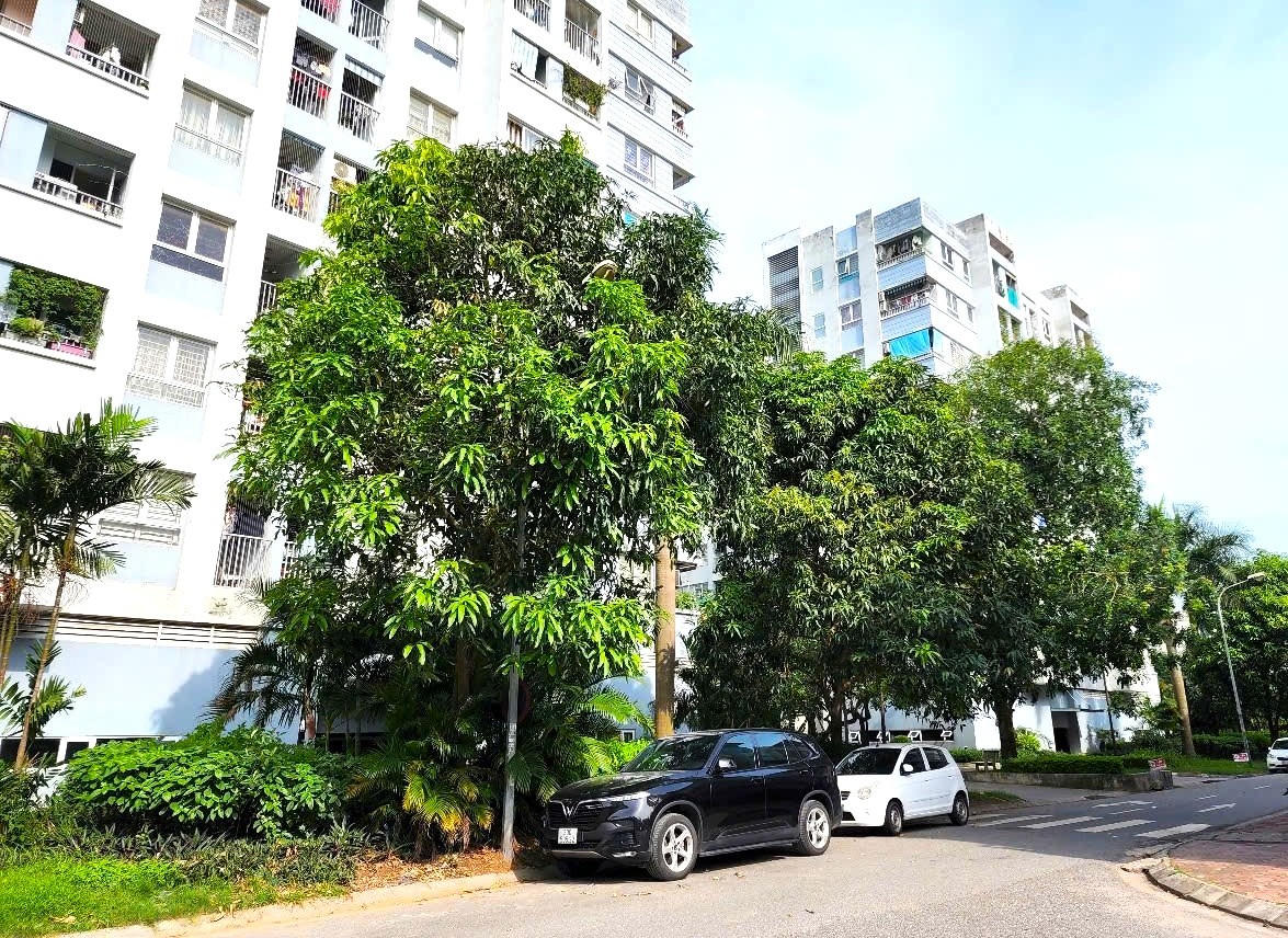 Khuyến khích xây nhà ở cho thuê không bằng vốn Nhà nước