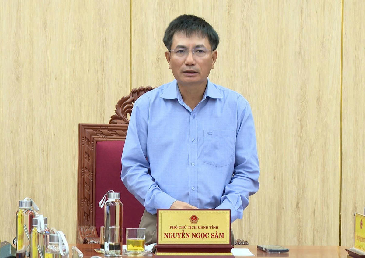 Phó Chủ tịch UBND tỉnh Quảng Ngãi Nguyễn Ngọc Sâm phát biểu tại buổi làm việc. Ảnh: BT.