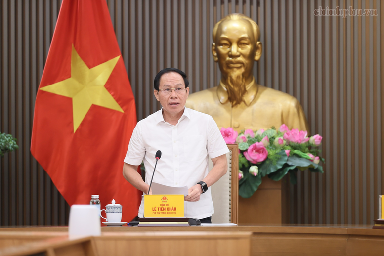 Phó Thủ tướng Chính phủ Lê Tiến Châu phát biểu - Ảnh: chinhphu.vn