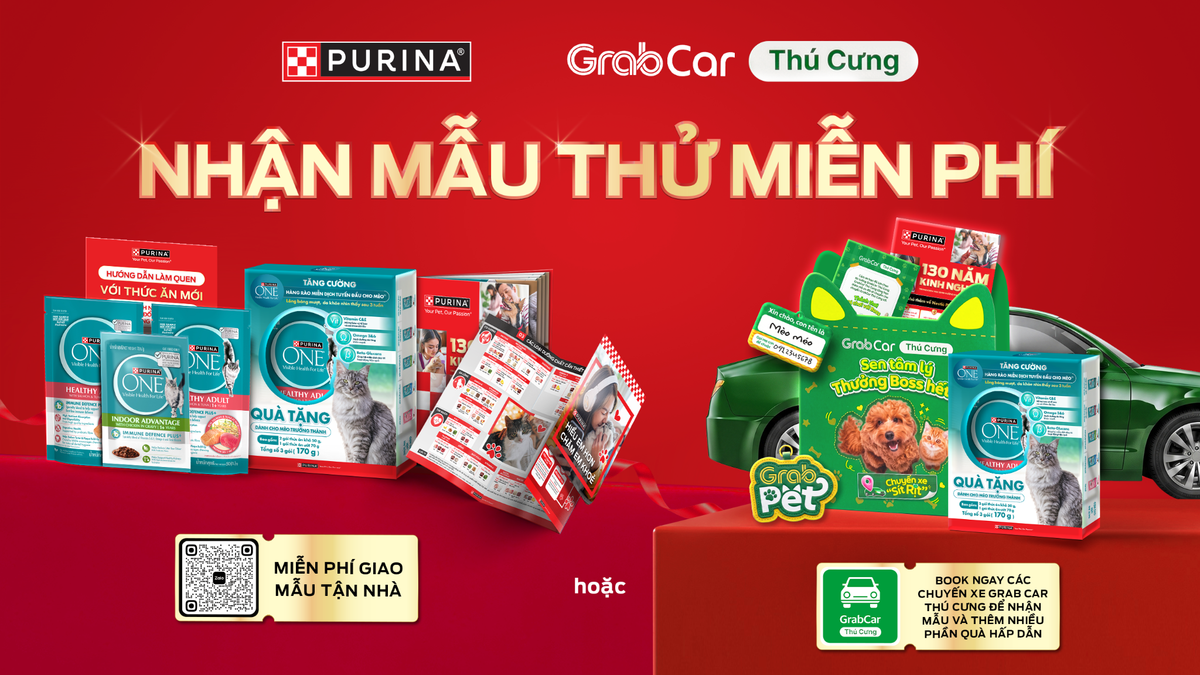 Các dấu hiệu đơn giản giúp đánh giá sức khỏe của mèo cưng