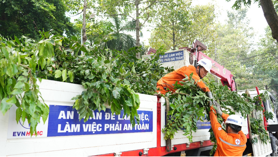 Cây xanh sau khi được phát quang, xử lý nhằm bảo đảm khoảng cách an toàn với lưới điện và hạn chế nguy cơ cây ngã, cành gãy gây sự cố.