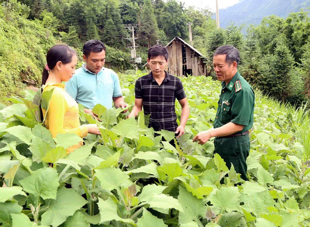 Đổi thay “ốc đảo” Hồng Ngài