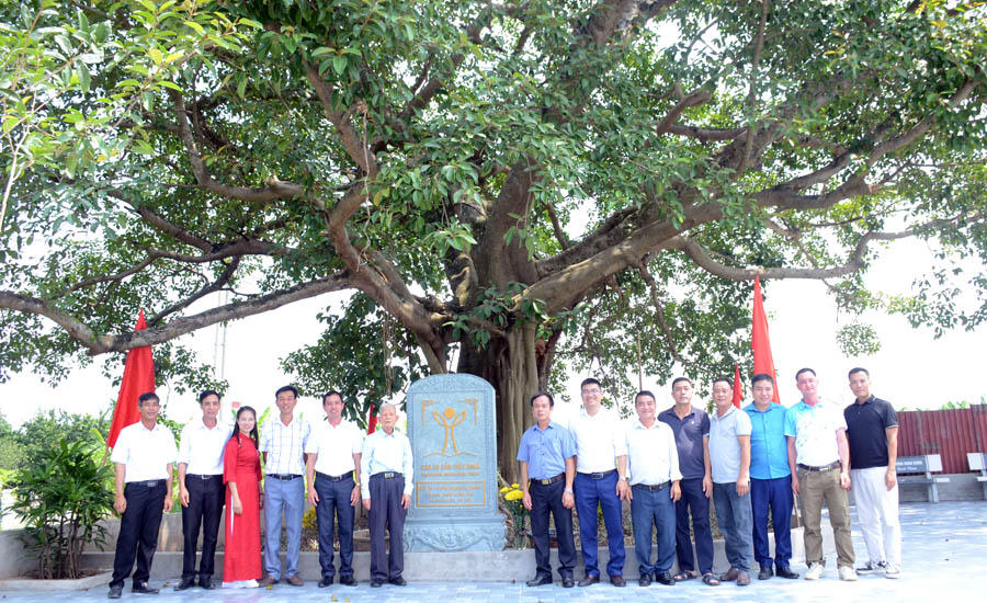Cây đa thôn Xuân Phú được công nhận là Cây Di sản Việt Nam.