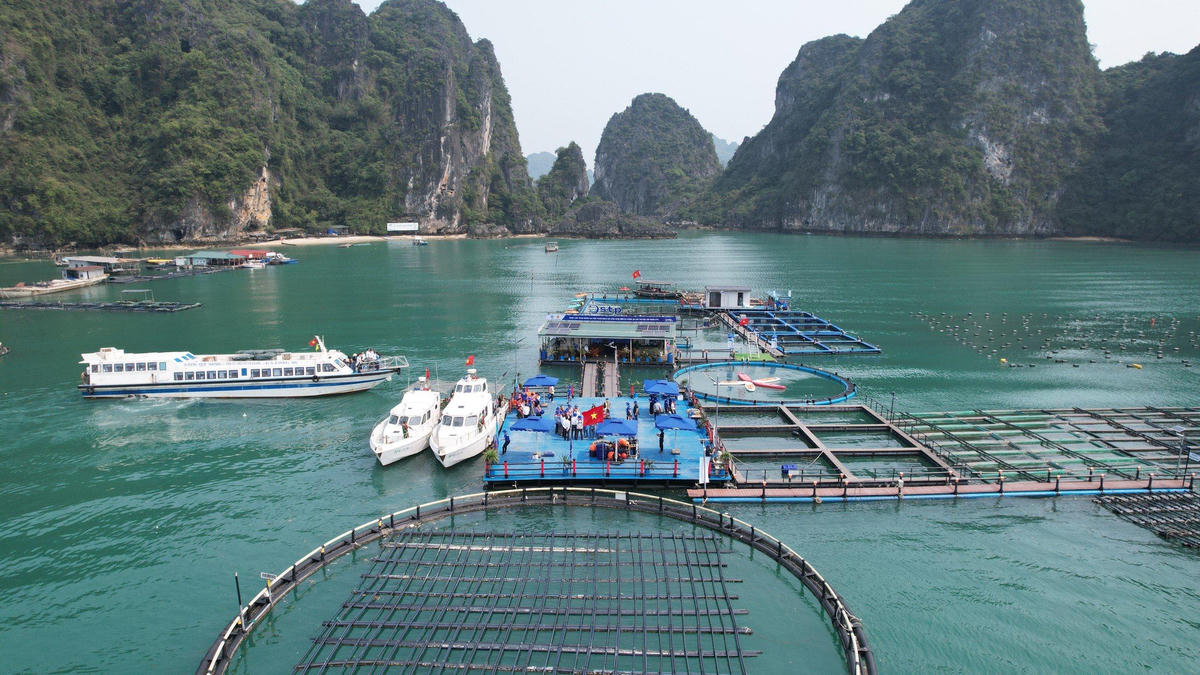 Xây dựng Việt Nam trở thành quốc gia biển mạnh đòi hỏi phải xây dựng năng lực khoa học công nghệ và đổi mới sáng tạo đủ mạnh, có tính liên ngành, đa ngành và khả năng giải quyết những bài toán tổng hợp của quốc gia về biển. Ảnh: Ngọc Anh.